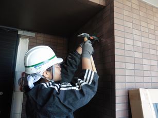P1080774.JPG